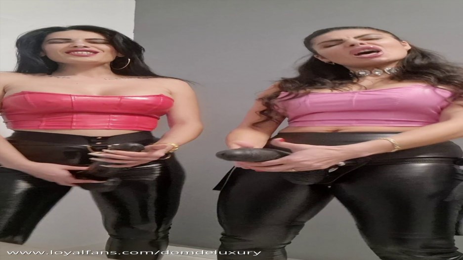 Domdeluxury - Give Us Your Holes!